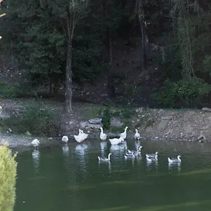 Tenuta La Bandita Hotel Sassetta